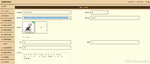 基于Node.js与Vue.js的宠物社区网站系统 计算机毕业设计与系统集成开发实践